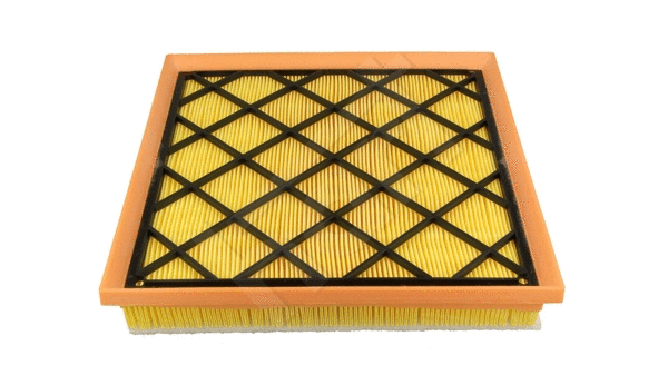 Air Filter (907 490)