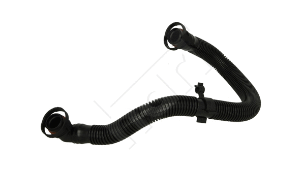 Hose, crankcase ventilation (621 483)