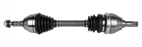 Drive Shaft (462 094)