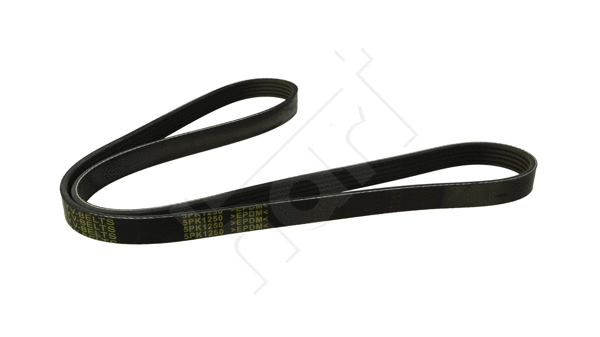 V-Ribbed Belt (368 871)