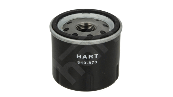 Oil Filter (340 873)