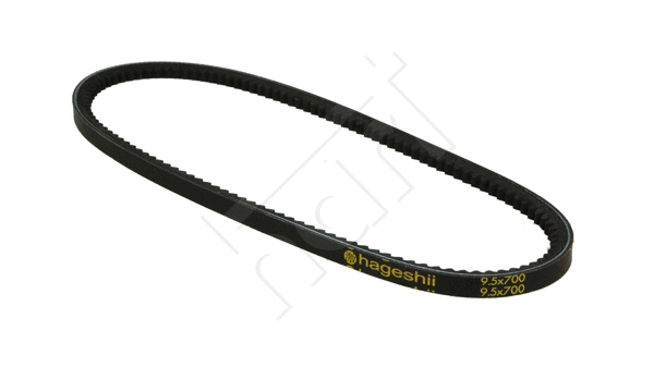 V-Belt (305 623)