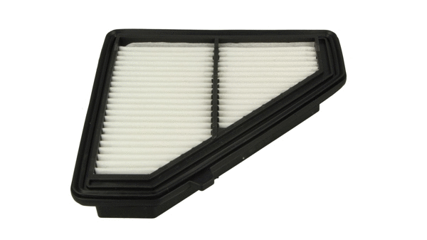 Air Filter (915 823)