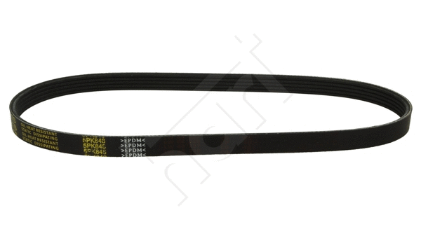 V-Ribbed Belt (360 811)