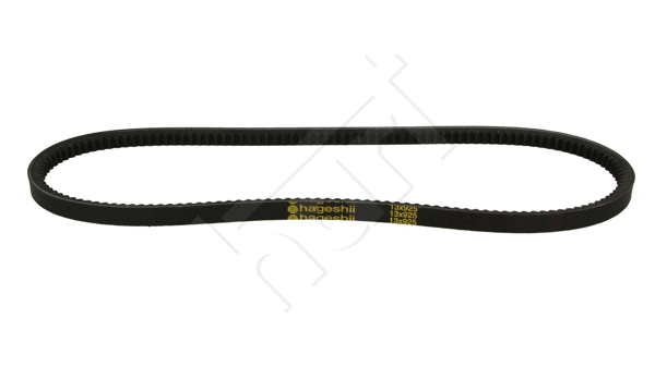 V-Belt (334 029)