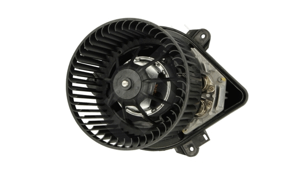 Interior Blower (641 101)