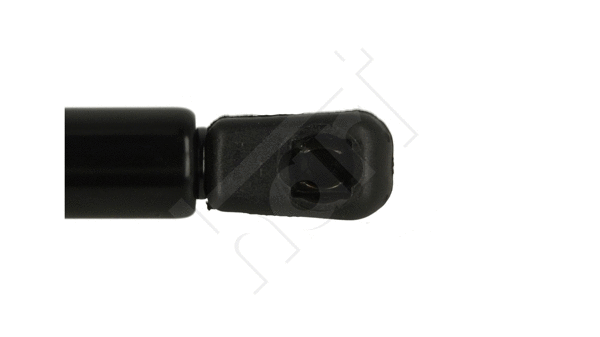 Gas Spring, bonnet