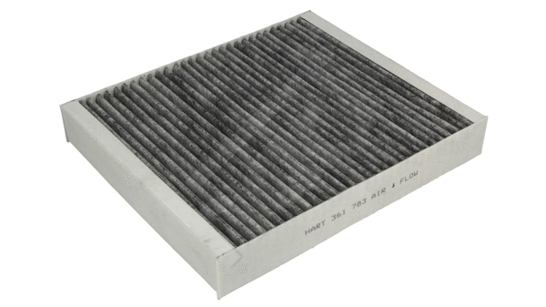 Filter, cabin air (361 783)