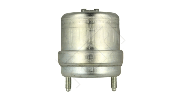 Mounting, engine (378 836)