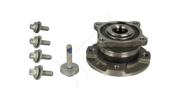 Wheel Bearing Kit (921 101)