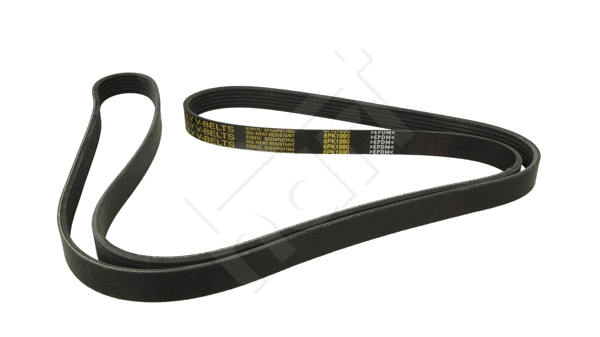 V-Ribbed Belt (917 403)