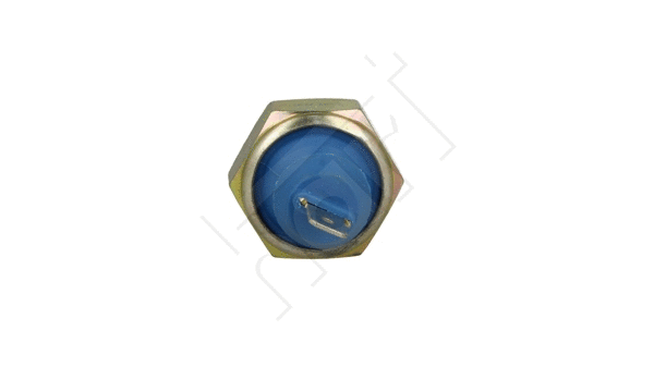 Oil Pressure Switch (508 708)