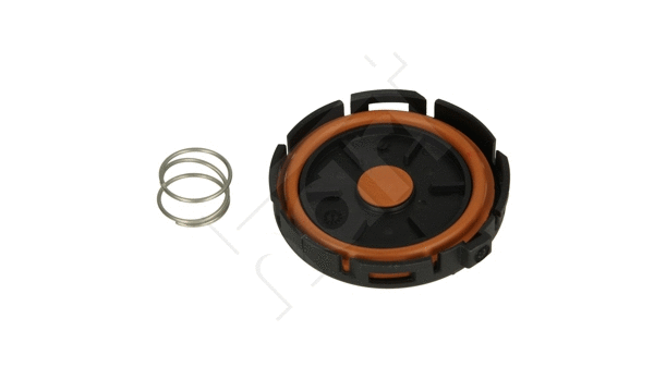 Membrane, crankcase ventilation (924 127)