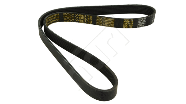 V-Ribbed Belt (917 757)