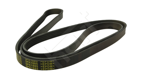 V-Ribbed Belt (368 887)