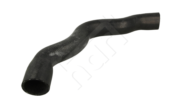Radiator Hose (619 098)