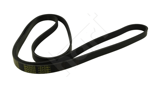 V-Ribbed Belt (368 888)