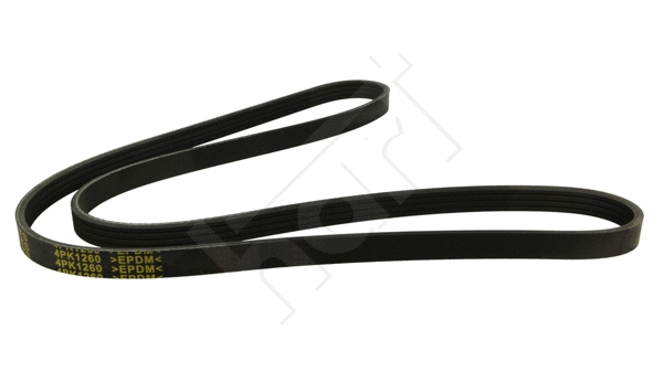 V-Ribbed Belt (368 846)