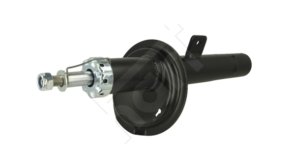 Shock Absorber (813 882)