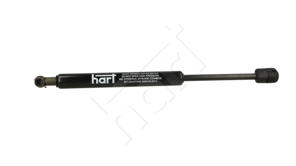 Gas Spring, boot/cargo area (807 294)