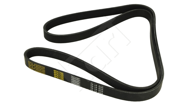 V-Ribbed Belt (334 023)