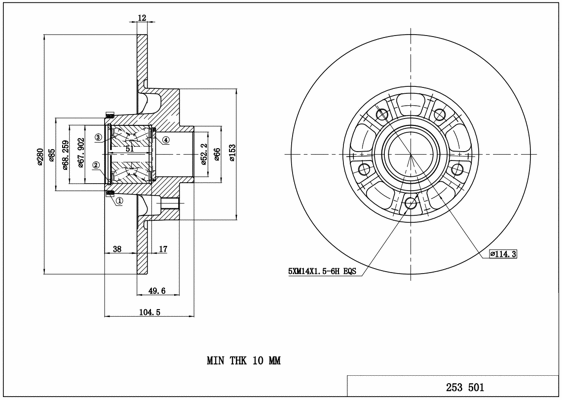 Brake Disc (253 501)