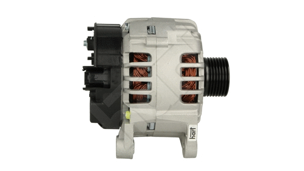 Alternator (534 343)