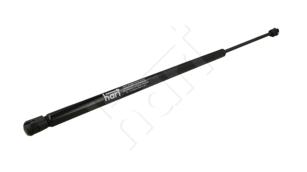 Gas Spring, boot/cargo area (807 275)
