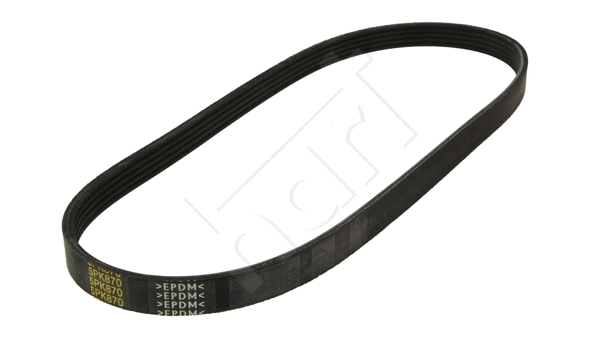 V-Ribbed Belt (331 860)