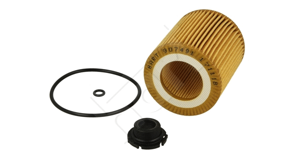 Oil Filter (907 491)
