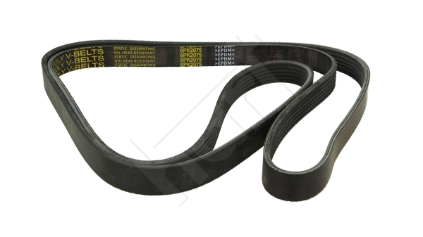 V-Ribbed Belt (338 062)