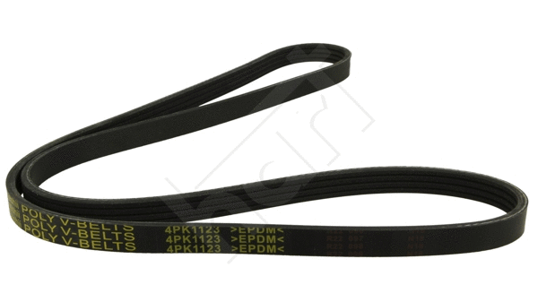 V-Ribbed Belt (368 843)