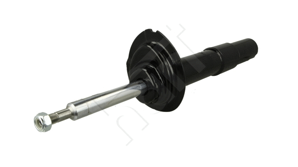 Shock Absorber (810 046)