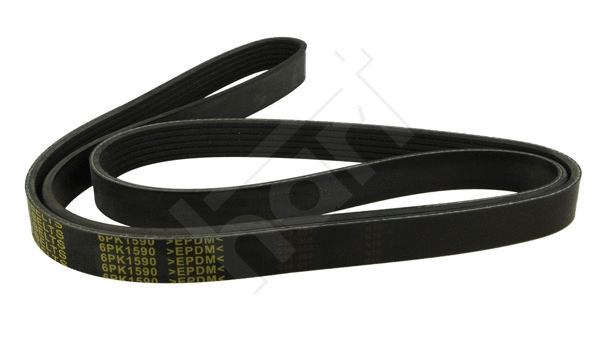 V-Ribbed Belt (368 903)