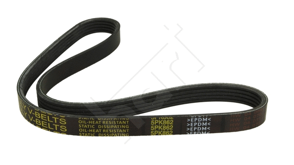 V-Ribbed Belt (331 826)