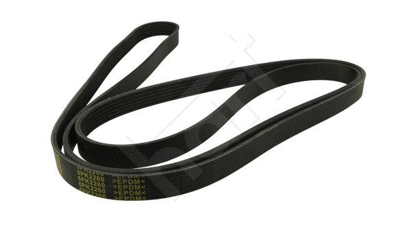 V-Ribbed Belt (368 988)