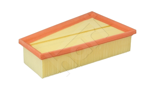 Air Filter (373 289)
