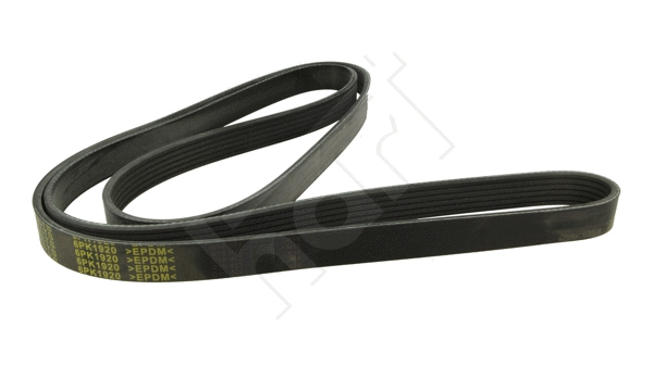 V-Ribbed Belt (368 972)