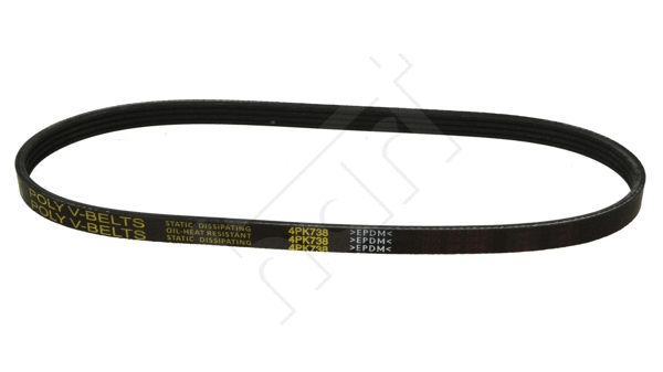 V-Ribbed Belt (338 076)