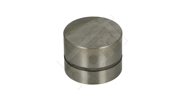 Tappet (346 252)