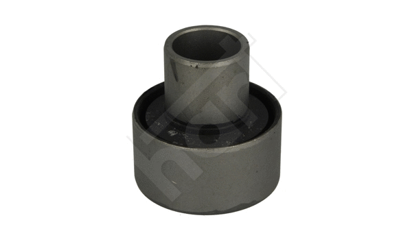 Bushing, axle beam (433 042)