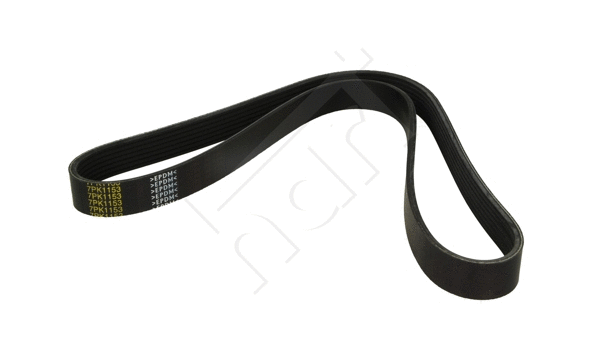 V-Ribbed Belt (917 404)
