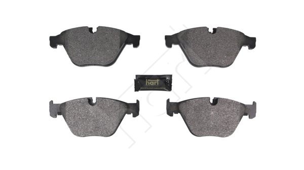 Brake Pad Set, disc brake (256 955)