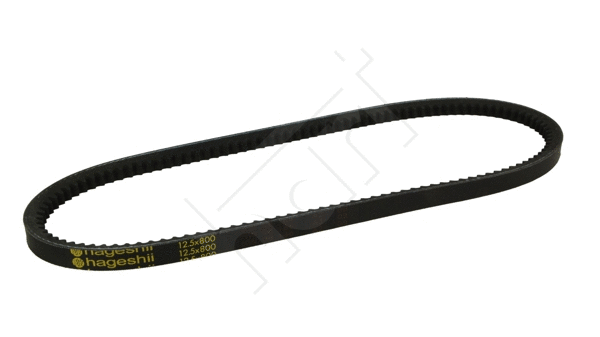 V-Belt (334 191)