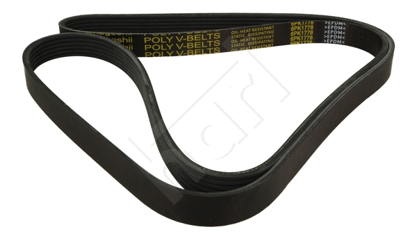 V-Ribbed Belt (334 321)