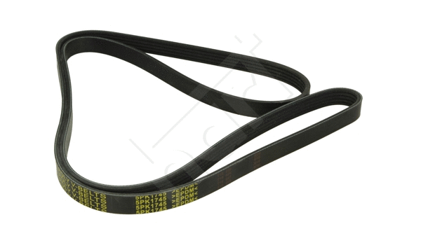 V-Ribbed Belt (368 882)