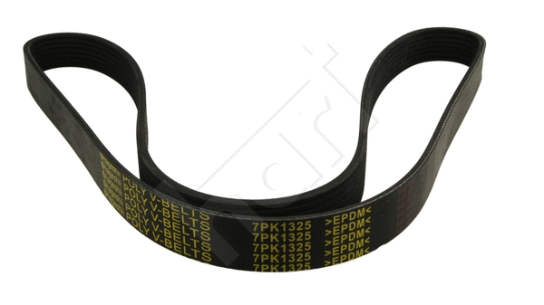 V-Ribbed Belt (369 009)