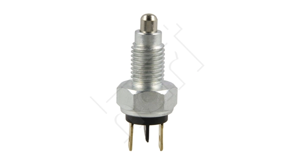 Switch, reverse light (510 313)