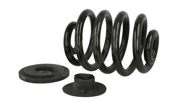 Suspension Spring (427 501)