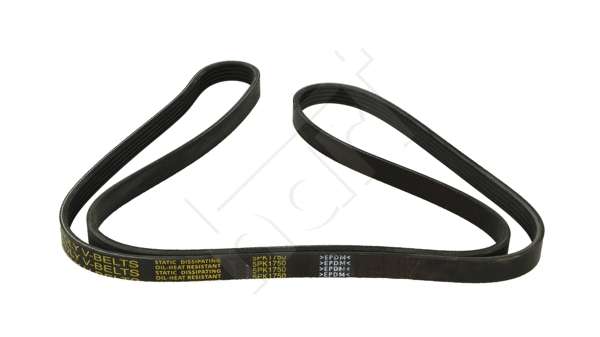 V-Ribbed Belt (338 066)